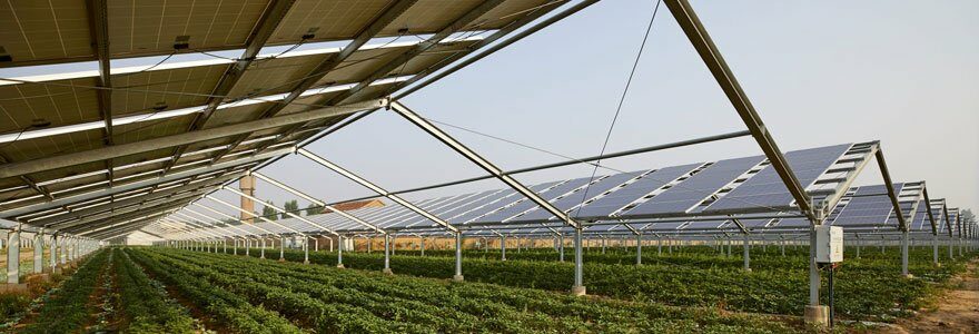 photovoltaïque agricole
